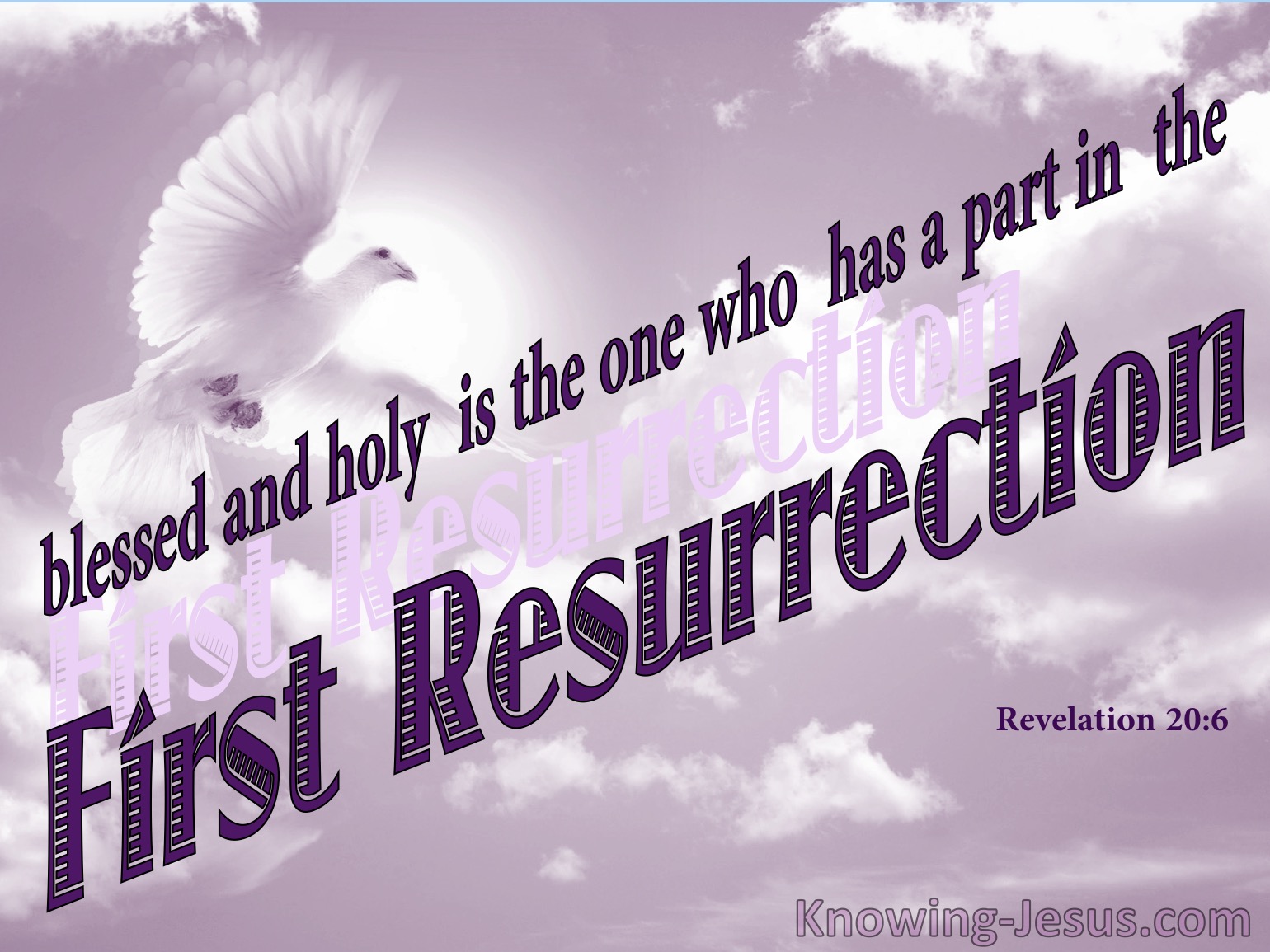 What Does Revelation 20 6 Mean what-does-revelation-20-6-mean